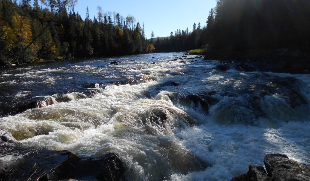 Photo of fish river falls in spring.