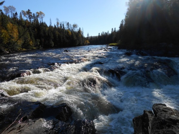 Photo of fish river falls in spring.