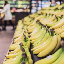 Display of bananas in the grocery store