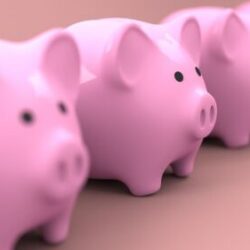 pink piggy banks lined up in a row
