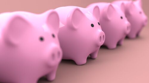 pink piggy banks lined up in a row